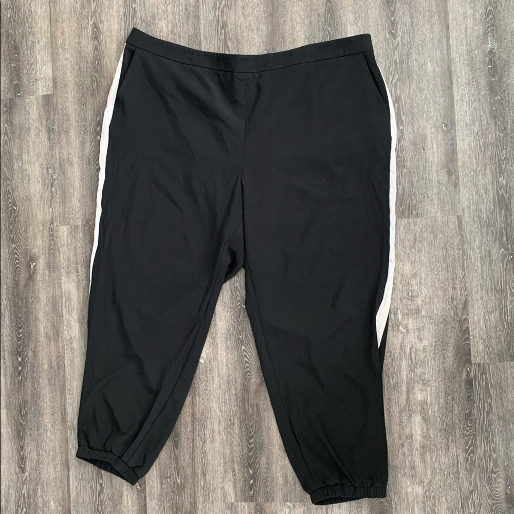 Size 24W Briggs Black Jogging Pants